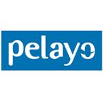 logo_pelayo2